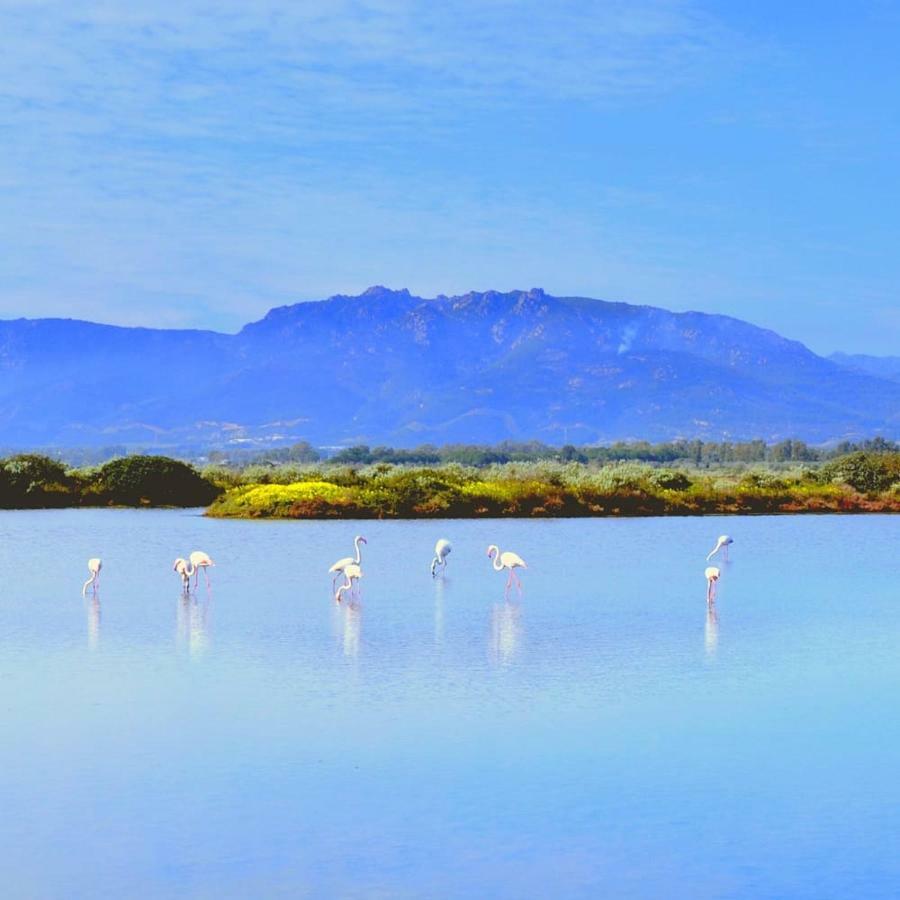 Sa Caladroxa Villa Villa San Pietro ภายนอก รูปภาพ